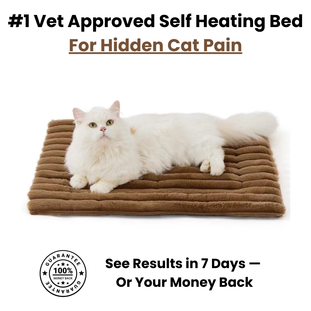 Self Warming Cat Bed